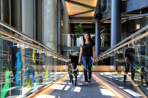 Banfield Pet Hospital CTS at Columbia Tech Center